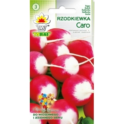 Nasiona Rzodkiewka Caro wczesna Tor192