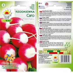 Nasiona Rzodkiewka Caro wczesna Tor192