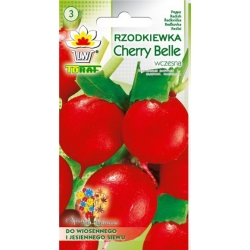 Nasiona Rzodkiewka Cherry Belle czerwona Tor191
