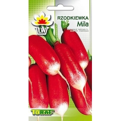 Nasiona Rzodkiewka Mila czerwona Tor194