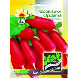 Nasiona Rzodkiewka Opolanka NA TAŚMIE Tor514