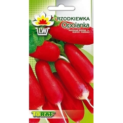 Rzodkiewka Opolanka wczesna Tor195