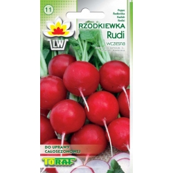 Nasiona Rzodkiewka RUDI czerwona wczesna Tor196