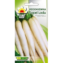  Nasiona Rzodkiewka Sopel Lodu późna Tor198