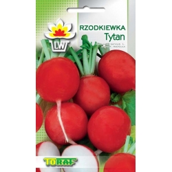 Nasiona Rzodkiewka Tytan czerwona Tor199