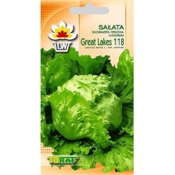  Nasiona Sałata krucha lodowa Great Tor209