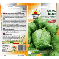 Nasiona Sałata krucha lodowa Tarzan późna Tor207