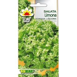 Nasiona Sałata liściowa Limona wczesna Tor202