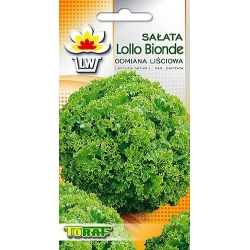  Nasiona Sałata liściowa Lollo Bionda zielona Tor200