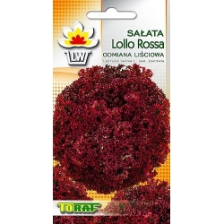 Nasiona Sałata liściowa Lollo Rossa czerwona Tor201