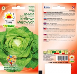 Nasiona Sałata masłowa Królowa wczesna Tor211