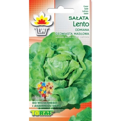 Nasiona Sałata masłowa LENTO Tor212