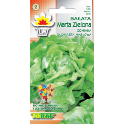 Nasiona Sałata masłowa MARTA ZIELONA Tor210
