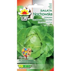 Nasiona Sałata masłowa NOCHOWSKA śr.późna Tor213