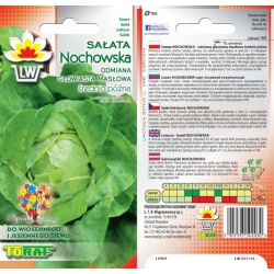 Nasiona Sałata masłowa NOCHOWSKA śr.późna Tor213