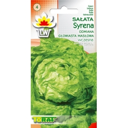 Nasiona Sałata masłowa SYRENA wczesna Tor217