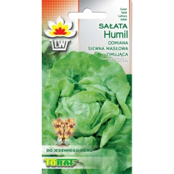 Nasiona Sałata masłowa Humil zimowa Tor218