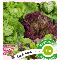 Nasiona Sałata mieszanka odmian Tor519