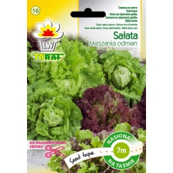Nasiona Sałata mieszanka odmian Tor519