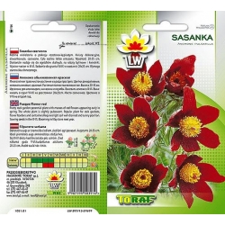 Nasiona Sasanka czerwona Tor443