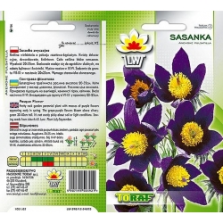 Nasiona Sasanka fioletowa Tor444