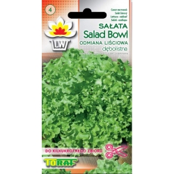 Nasiona Sałata liściowa-dębolistna SALAD Tor205
