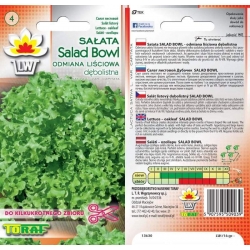 Nasiona Sałata liściowa-dębolistna SALAD Tor205
