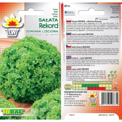 Nasiona Sałata liściowa REKORD Tor203