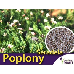 Nasiona Seradela Tor565