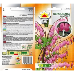 Nasiona Serduszka okazałe Tor445