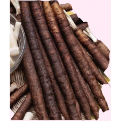 Skorzonera to bardzo plenne lekko strawne warzywo o dużej wartości odżywczej i dietetycznej, którego część jadalną stano