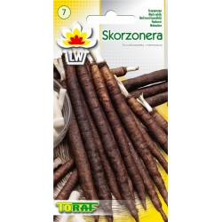 Skorzonera to bardzo plenne lekko strawne warzywo o dużej wartości odżywczej i dietetycznej, którego część jadalną stanowią proste korzenie spichrzowe o długości ponad 30 cm.