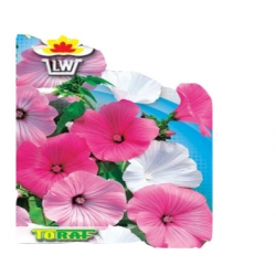 Nasiona Ślazówka letnia Tor469