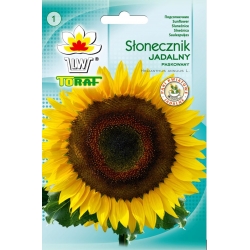 Nasiona Słonecznik jadalny paskowany Tor224