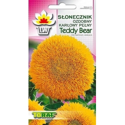 Nasiona Słonecznik ozdobny pełny TeddyBear Tor446