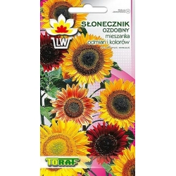 Nasiona Słonecznik ozdobny Mieszanka Tor447
