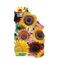 Nasiona Słonecznik Mieszanka Tor501