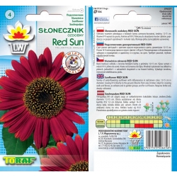 Nasiona Słonecznik ozdobny Red Sun Tor448