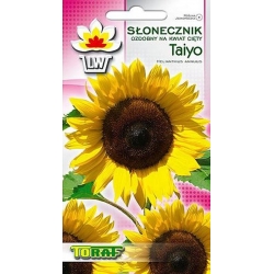 Nasiona Słonecznik ozdobny kwiat cięty Taiyo Tor451