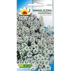Nasiona Smagliczka nadmorska biała Tor455