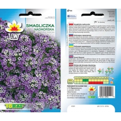 Nasiona Smagliczka nadmorska niebieska Tor456