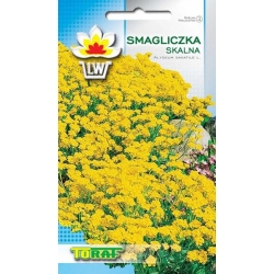 Nasiona Smagliczka skalna Tor454