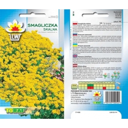 Nasiona Smagliczka skalna Tor454