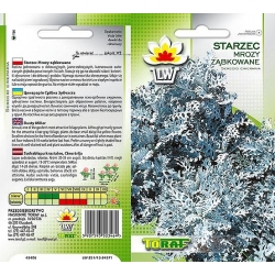 Nasiona Starzec Mrozy ząbkowane Tor457