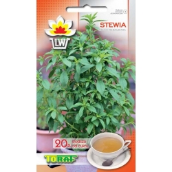 Nasiona Stewia 20x słodsza od cukru Tor607