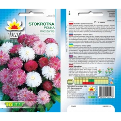 Nasiona Stokrotka pełna Tor459