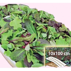 Nasiona Świeże listki do upr. w skrzynkach Tor522