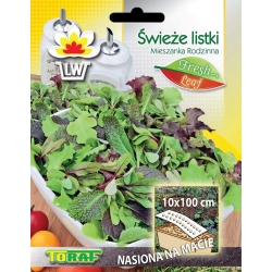 Nasiona Świeże listki do upr. w skrzynkach Tor522