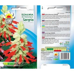 Nasiona Szałwia błyszcząca Sangria Tor462