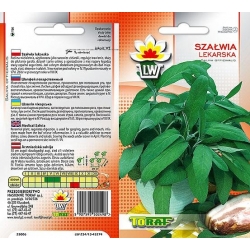 Nasiona Szałwia lekarska Tor608